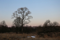 ТроПешка (однодневный пеший поход)