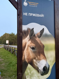 Национальный парк «Смоленское Поозерье»