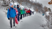 Новогодние каникулы в Судаке
