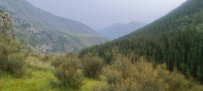 Сплав по реке Катунь