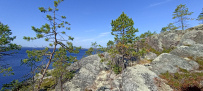 Сплав по реке Кереть и Белое море