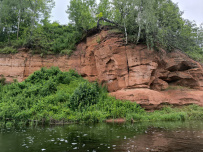 Оредеж — прогулка на байдарках (1 день)