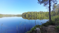 Крыша Карелии (национальный парк Паанаярви)