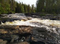 Сплав по реке Шуя Беломорская