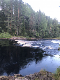 Сплав по реке Шуя