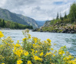 Сплав по реке Катунь