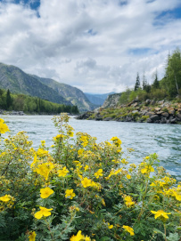 Сплав по реке Катунь