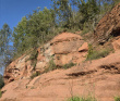 Оредеж — прогулка на байдарках (1 день)