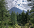 Горный лагерь в Актру (проживание в домиках)