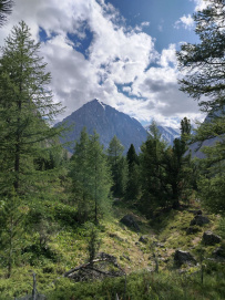 Горный лагерь в Актру (проживание в домиках)