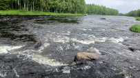Сплав по реке Кереть и Белое море