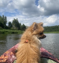 Сплав по реке Угра с посещением Никола-Ленивца, баней и автосопровождением
