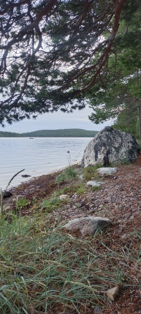 Сплав по реке Кереть и Белое море