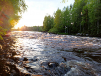 Сплав по реке Суна на байдарках