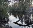 Сплав по реке Поля «Cквозь лес на байдарках»