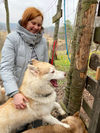 Дог-Трекинг с хаски в Карелии