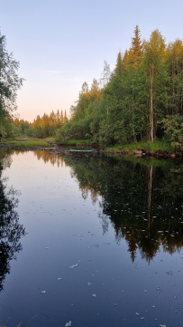 Сплав по реке Воньга и Белое Море на байдарках