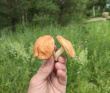 Сплав по реке Волга с Бенскими порогами (Тверская область)