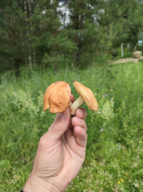 Сплав по реке Волга с Бенскими порогами (Тверская область)