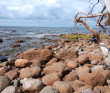 7 дней по островам и шхерам Выборгского залива на морских каяках (с лодкой сопровождения)