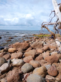 7 дней по островам и шхерам Выборгского залива на морских каяках (с лодкой сопровождения)