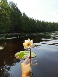 Пеший поход в Каннельярви