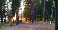 Сплав по реке Шуя