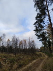 Красоты Мещёры с ночёвкой в тёплом доме (пеший поход)