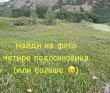 Арктическое приключение: на байдарках по Баренцеву морю