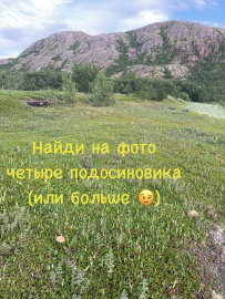 Арктическое приключение: на байдарках по Баренцеву морю