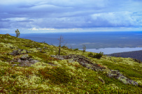 Колвица на морских каяках (байдарках). Путешествие на землю Саамов
