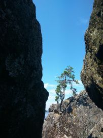 Кемпинг на Вуоксе: активные выходные на лодках