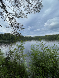 Сплав по реке Шуя