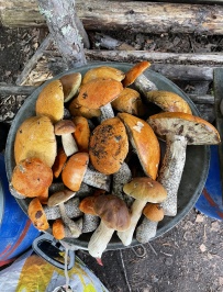 Сплав по реке Шуя