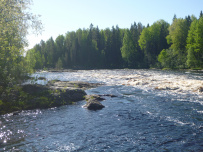 Сплав по реке Шуя