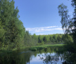 Земля колдунов:поход в Вепсский лес (разведка)