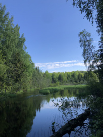Земля колдунов:поход в Вепсский лес (разведка)