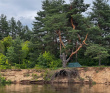 Сплав на сапборде по реке Клязьма (один день)
