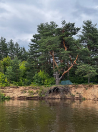 Сплав на сапборде по реке Клязьма (один день)