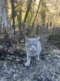 Новогодний мультитур в Абхазии