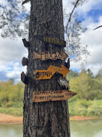 Дзен-поход «Осенняя тишина»