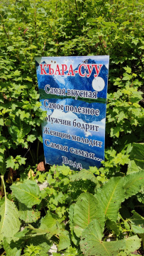 Высокогорный лагерь в Приэльбрусье «Двойка» (с размещением в гостинице)