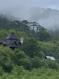 Великий горный край: природа западной Сербии (треккинг-тур в национальный парк Тара)