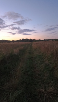 Пеший поход «Пантелеево болото да река Сестра»