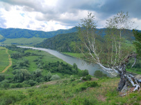 Сплав по реке Чарыш на байдарках