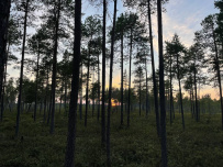 Сплав по реке Поньгома