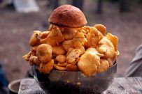 Соловецкие Острова в Белом Море (экскурсии + поход)