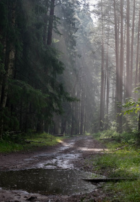 Велопоход из Конаково в Тверь (Тверская область)