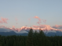 Горный лагерь в Актру (проживание в домиках)