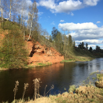 Трекинг по Оредежским берегам